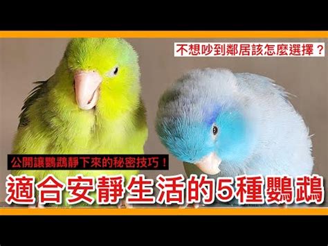 什麼動物可以養|【什麼動物可以養】想養寵物又不想很忙？快來看這50種「不麻煩。